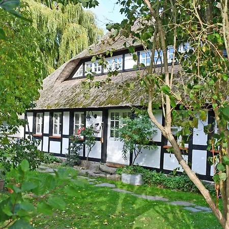 Neu Angeboten Moenchguter U Reetdach Mit Kamin Holiday home