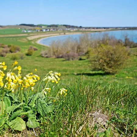 Ferienhaus Neu Angeboten Mönchguter U Reetdach Mit Kamin